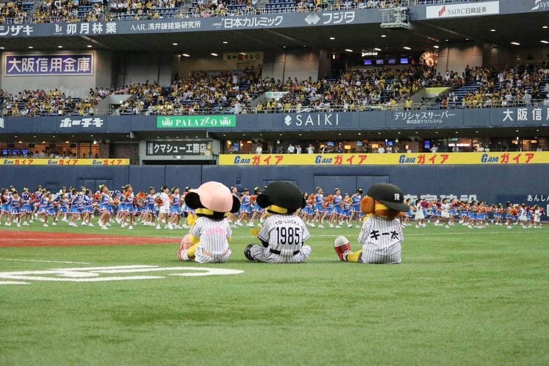 阪神タイガースさんのインスタグラム写真 - (阪神タイガースInstagram)「今日は試合前に可愛いチアダンサーズ約350人が、グラウンドで踊ってくれました♪ #阪神タイガース  #かわいい #チアダンス #トラッキー達も応援📣」8月4日 18時00分 - hanshintigers_official