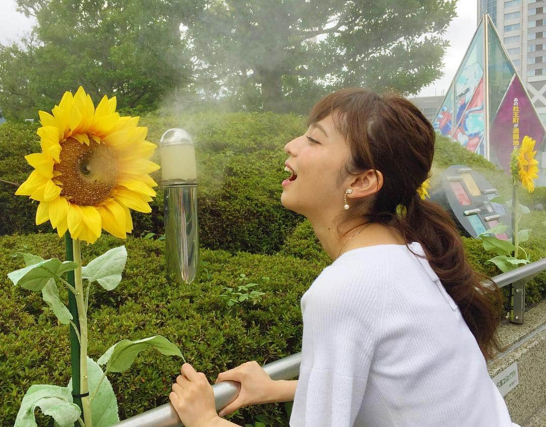 久慈暁子さんのインスタグラム写真 - (久慈暁子Instagram)「* ひまわりからミストが🌻🌻🌻 ミストを食べようとする図🌈 * #ひまわりミスト  #ミスト」8月4日 20時33分 - kuji_akiko