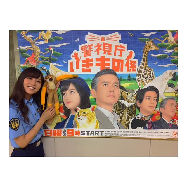 石川恋さんのインスタグラム写真 - (石川恋Instagram)「明日21:00〜フジテレビ「警視庁いきもの係」第5話O.Aです！オフショットはでんでんさんと💫二出川さん×弥生のツンデレコンビが好評のようでとても嬉しいです😝💕 さて、今回の動物はリスザル🐒💜明日もお楽しみに！#フジテレビ #日9 #警視庁いきもの係 #第5話 #二出川昭吉 #でんでん さん #三笠弥生 #石川恋」8月5日 17時28分 - ren_ishikawa