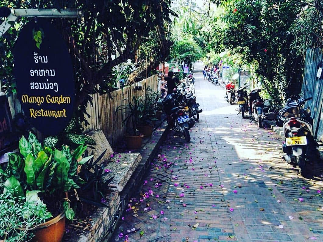 高咲里音のインスタグラム：「. Laos🇱🇦🇱🇦資格取りに✏️田舎好き」