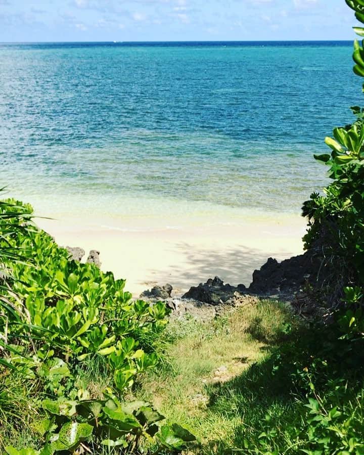 橋本麗香のインスタグラム：「🐬💙🐬💙🐬💙🐬💙🐬💙🐬💙🐬💙🐬 ． ． Have an amazing day to everyone 💎💎💎💎 ✨✨✨✨✨✨✨✨✨✨✨✨✨✨✨ ． #secretbeach #本物の沖縄 #peace #love #joy #loveall  #thankyou」