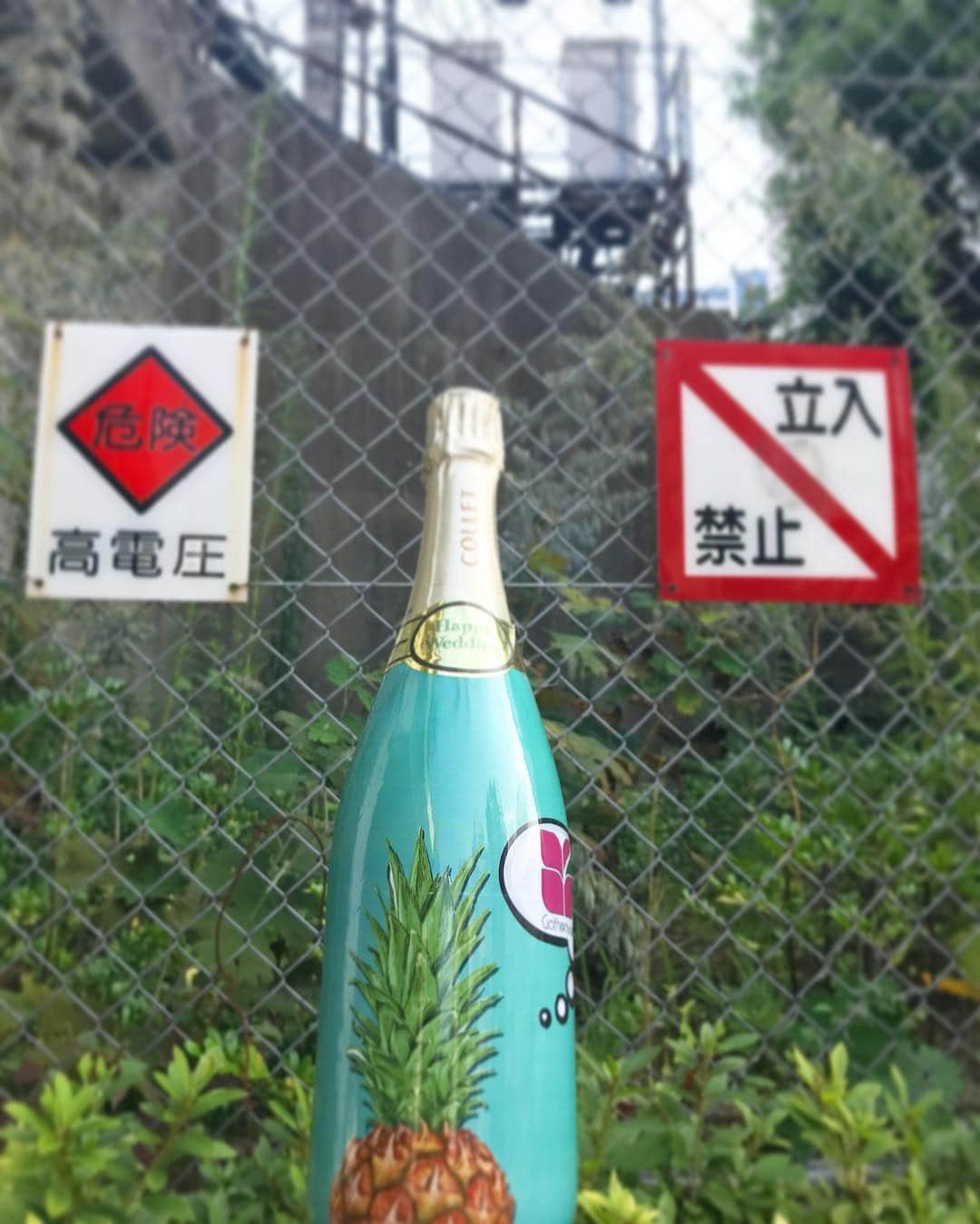#JACKBOTTLE®︎のインスタグラム