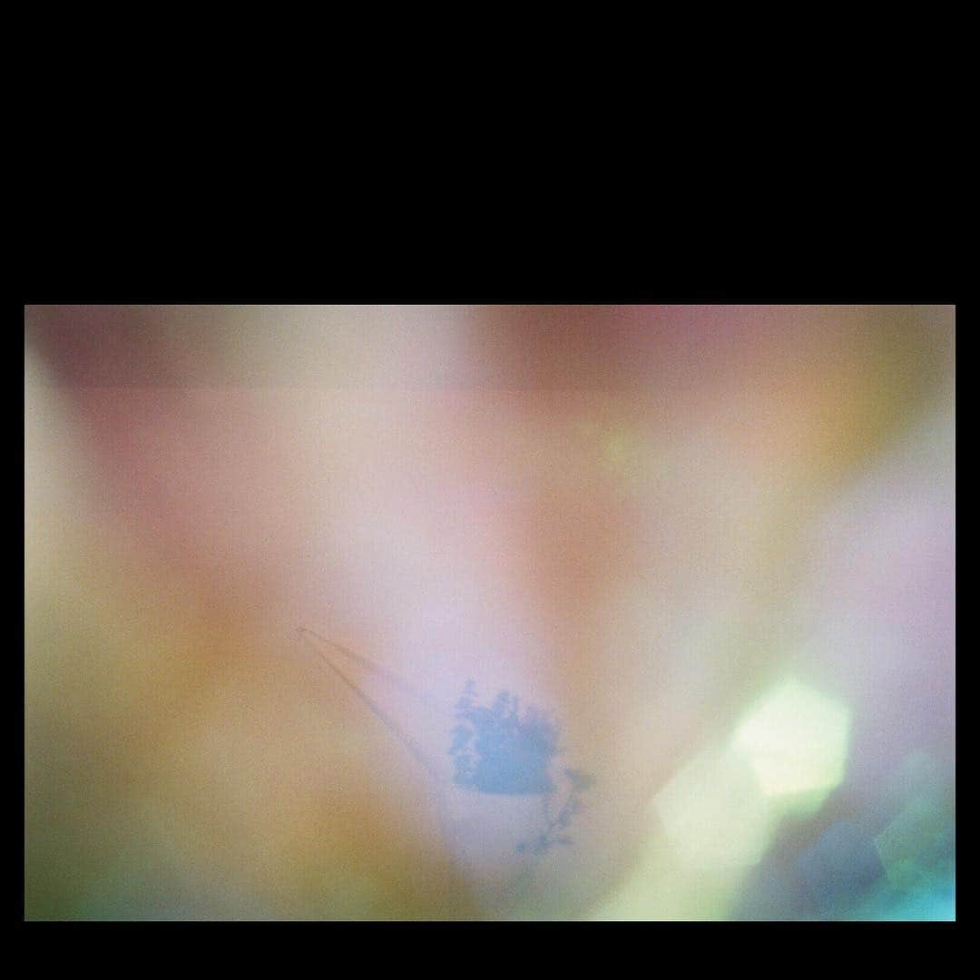 杉咲花のインスタグラム：「🌈◇💐」