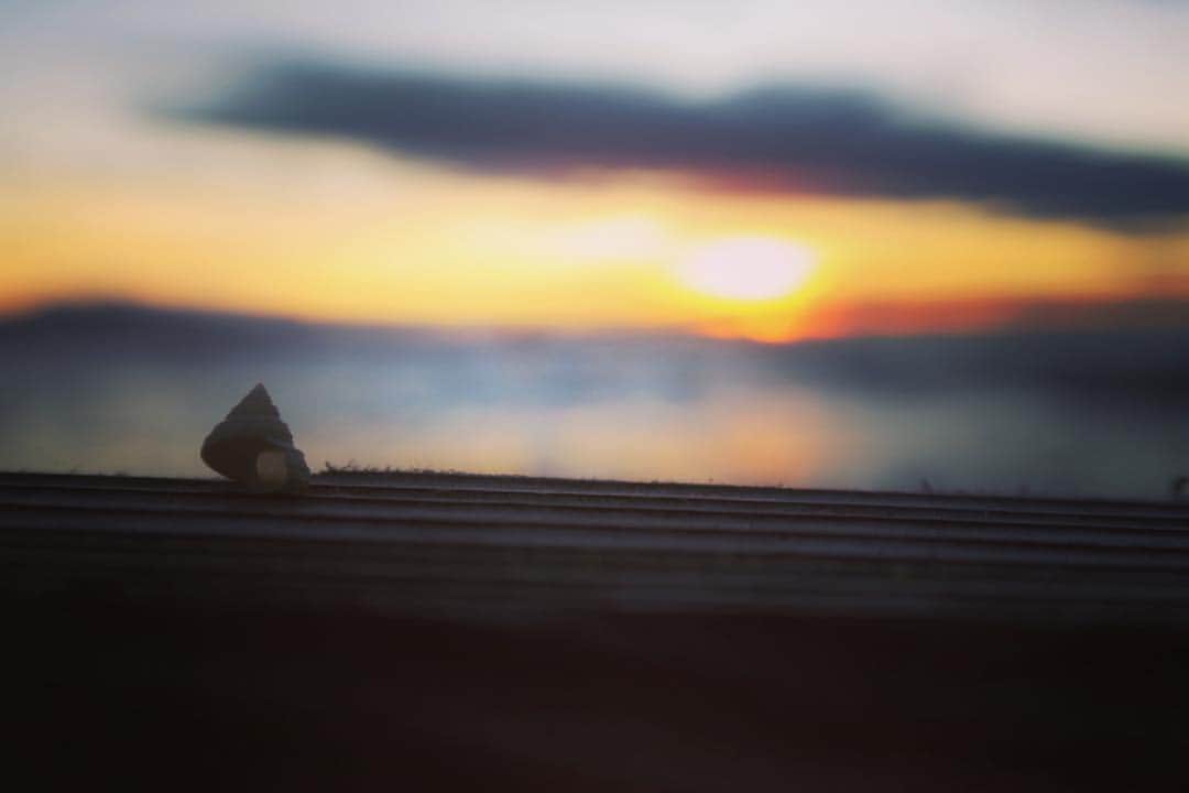山本崇史さんのインスタグラム写真 - (山本崇史Instagram)「(о´∀`о)海はやっぱいいですね〜。 一生分くらい淡路島を右往左往している2017年の夏。  #淡路島 #海 #貝殻 #朝日 #Canon #g5x」8月6日 16時42分 - tkcnophoto