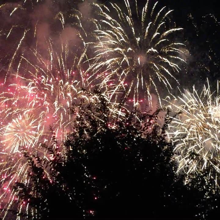 瀬谷ひかるのインスタグラム：「たたらの花火見て来た🎆 #たたら祭り #花火 #木が邪魔 #NATSUしようぜ」