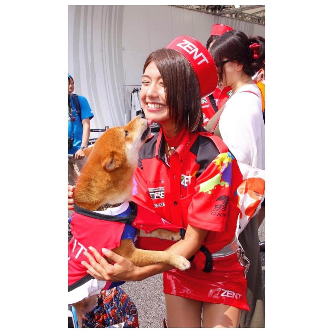 藤木由貴さんのインスタグラム写真 - (藤木由貴Instagram)「可愛かったー！！チュ〜〜❤︎ . #zent #pet #dog #ワンちゃん #love」8月7日 16時10分 - yuki.grm