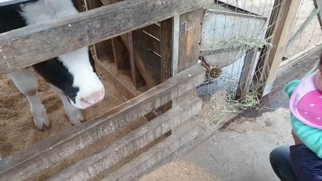 タビスルキッズのグルメインスタ