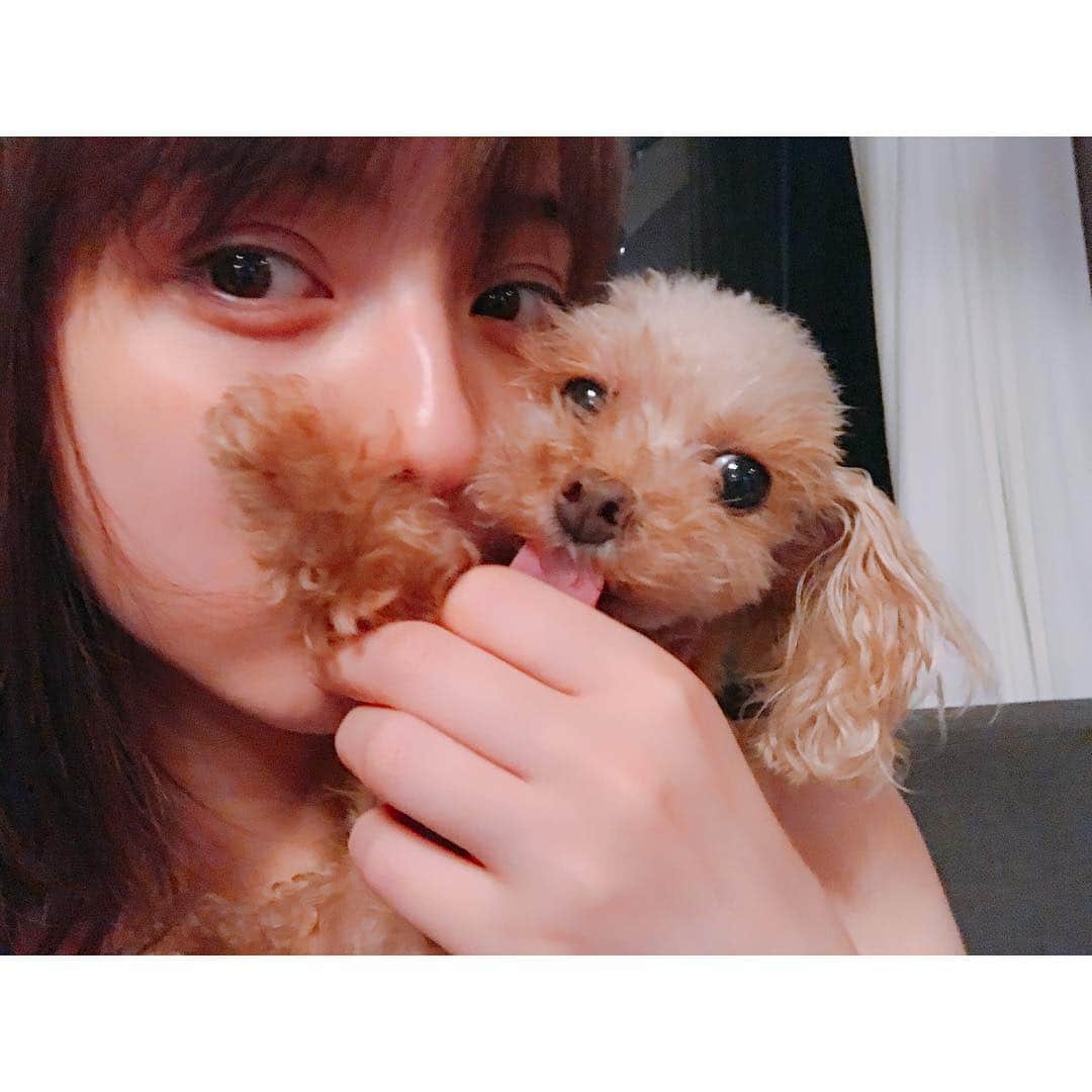 佐々木希さんのインスタグラム写真 - (佐々木希Instagram)「明日も 一日中スタジオにこもります！ 帰ってご飯食べてからちびに癒され中…🐶 #愛犬」8月7日 22時42分 - nozomisasaki_official
