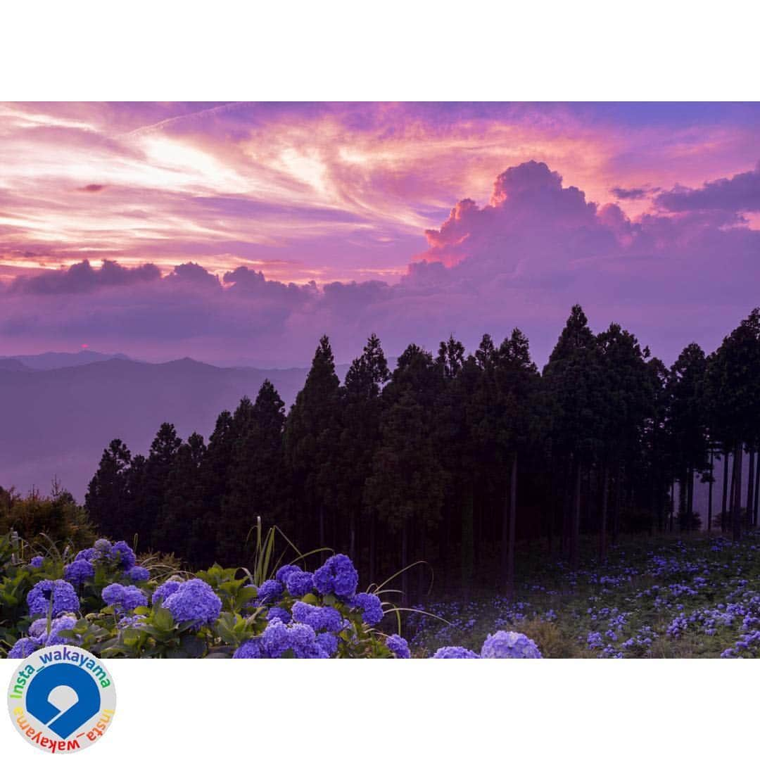 和歌山県のインスタグラム