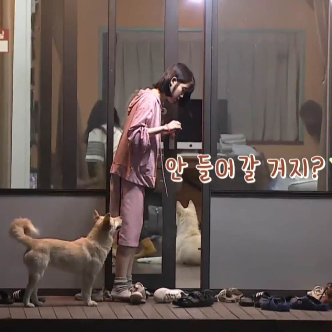 Official STYLENANDAさんのインスタグラム写真 - (Official STYLENANDAInstagram)「효리네민박 7회 아이유 패션 - 🔎캐주얼득템 이너탑 집업 SET 🔎비주얼배색 옆라인 미디스커트 #stylenanda #nandamade #iu #아이유 #효리네민박」8月8日 18時17分 - houseof3ce