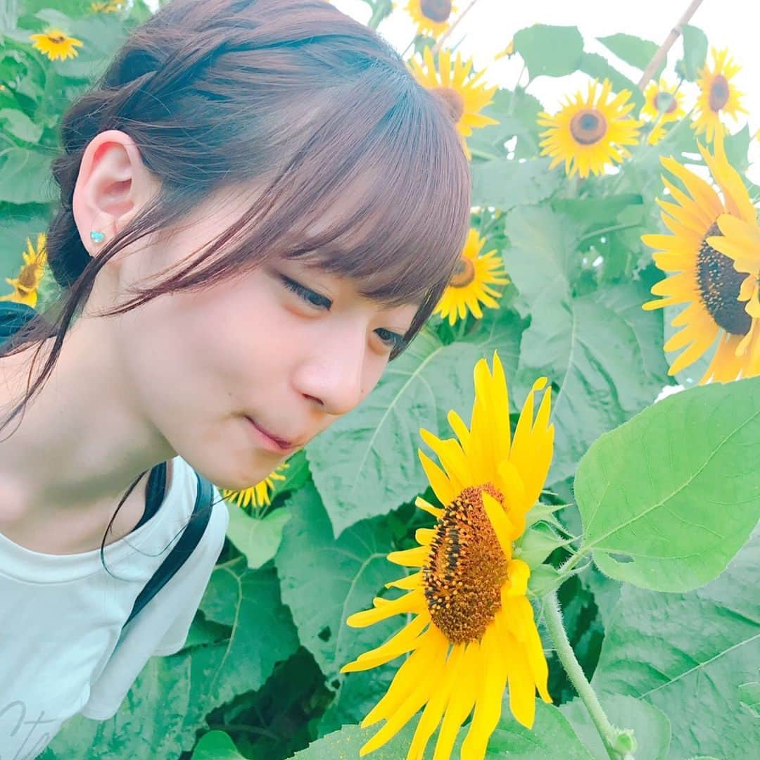 近田瑞希のインスタグラム：「🌻💕」