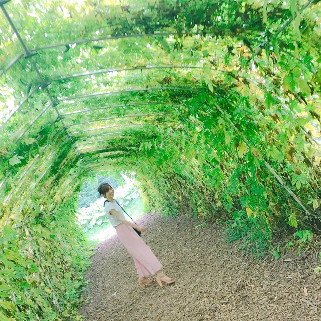 近田瑞希さんのインスタグラム写真 - (近田瑞希Instagram)「🌻💕」8月8日 21時42分 - mizuki.chikata