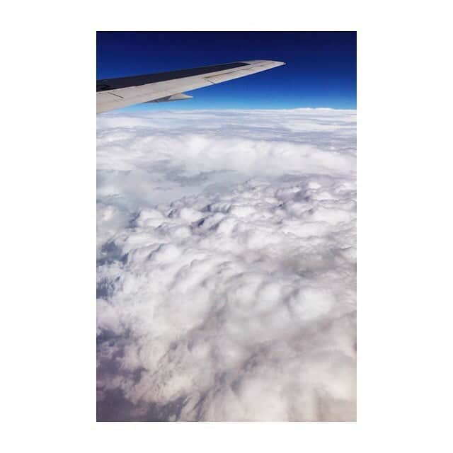 林美沙希さんのインスタグラム写真 - (林美沙希Instagram)「出張中です。 飛行機から見えるぽこぽこした雲が何だか不思議でした。 #テレ朝#jチャンネル#飛行機#雲#ぽこぽこ#出張」8月8日 23時40分 - misaki0hayashi