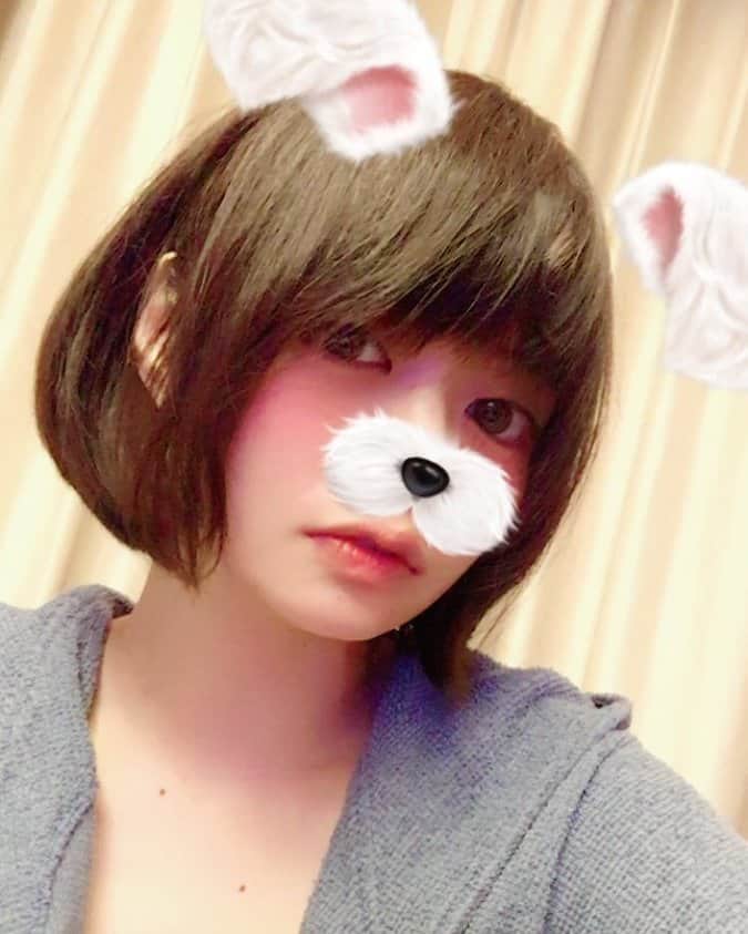 のインスタグラム：「#凰かなめ #kaname #ショートヘア #うさぎさん」