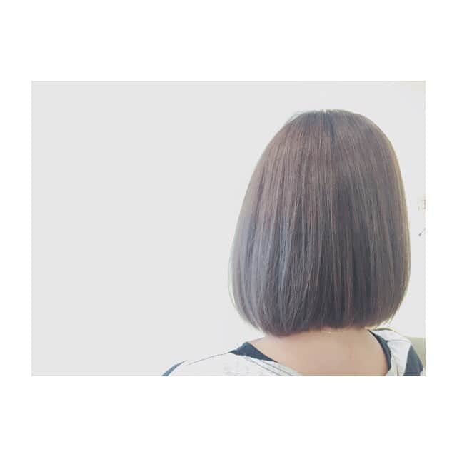 ヘアカラーカフェ千鳥橋店のインスタグラム：「ㅤㅤㅤㅤㅤㅤㅤㅤㅤㅤㅤㅤㅤ ㅤㅤㅤㅤㅤㅤㅤㅤㅤㅤㅤㅤㅤ ash grege color 🐬💙 ㅤㅤㅤㅤㅤㅤㅤㅤㅤㅤㅤㅤㅤ ㅤㅤㅤㅤㅤㅤㅤㅤㅤㅤㅤㅤㅤ #美容室#梅田ランチ#美意識#美意識向上#おしゃれ#おしゃれさんと繋がりたい#おしゃれ好きな人と繋がりたい#女子力#梅田#ネイルサロン#aujua#写真好きな人と繋がりたい#紫外線#オリジナル##写真#shampoo#サラサラ#beauty#ash#インナーカラー #透明感 #ツヤ感 #ブルー」