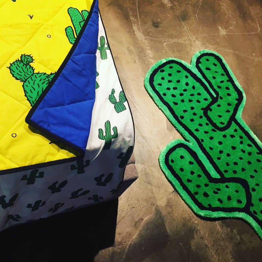 ロドニクのインスタグラム：「💥🌵Cactus CRAZY 🌵 @therodnikband Cactus kids Interior collection for @madedotcom #cactuscrazy 🌵🌵🌵 #therodnikband #cactusrug #cactusbedding #popinteriors #rodnik #cactussheets 💥🚀」