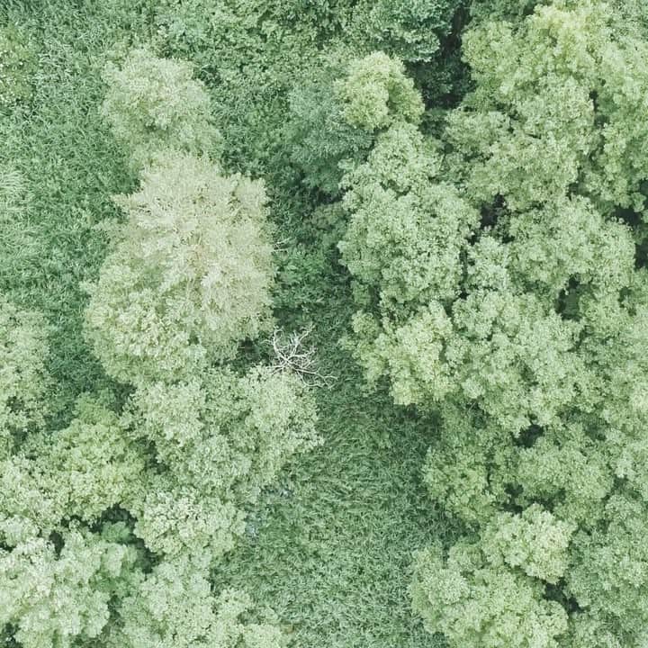 市川渚のインスタグラム