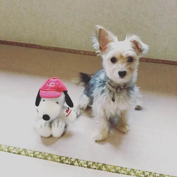 Willy Wonkaのインスタグラム