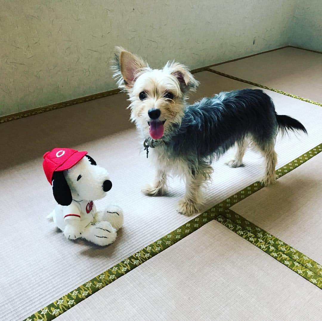 Willy Wonkaのインスタグラム