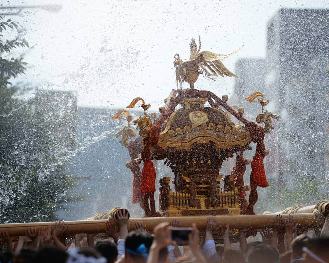 kazumaのインスタグラム：「.. . Splashes and mikoshi🗾 . . ボルトの衝撃ラスト、 日本の底力を早朝から観て、 3年ぶりの富岡八幡宮例大祭へ . . . #富岡八幡宮例大祭  #深川八幡祭り  #神輿 . . . . .. . . . . . . . . . ————————————————— #igersjp #team_jp_ #team_jp_夏色2017 #icu_japan #ink361_asia #ig_japan #instadaily #igrecommend  #lovers_nippon #picture_to_keep #FreedomThinkers #jp_gallery_member #日本 #love  #東京カメラ部 #tokyocameraclub #indies_gram #reco_ig #instagood #huntgram  #huntgramjapan #japan_daytime_view #art_of_japan_ #ig_photooftheday #ファインダー越しの私の世界 #カメラ好きな人と繋がりたい ————————————————— . . . . . . .. ...」