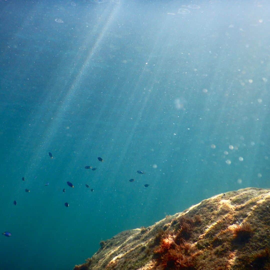 坂野志津佳さんのインスタグラム写真 - (坂野志津佳Instagram)「#夏の思い出 #初島 #ダイビング #ダイビング女子  #海 #sea #diving #instagood」8月13日 10時30分 - oshizu0511