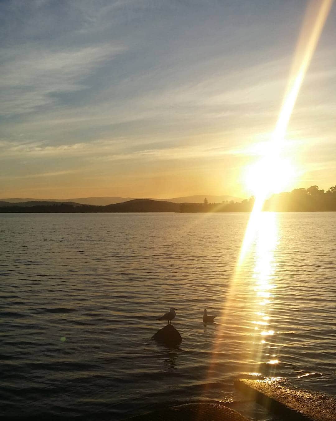 ダニエル・オブライエンのインスタグラム：「And just like that the sun sets on another weekend! 🌅🐥 . . . #sunset #sunday #weekend #newcastle #sydney #visitnsw #lake #australia #winter」