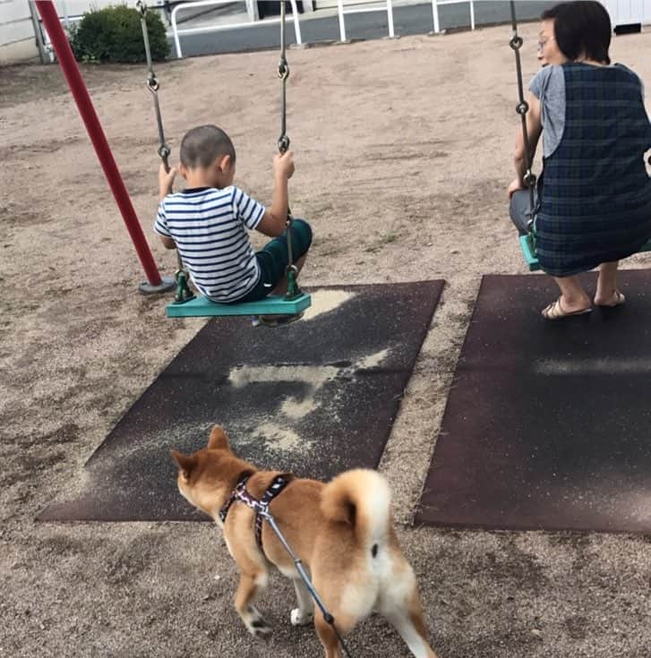 高橋みゆきのインスタグラム