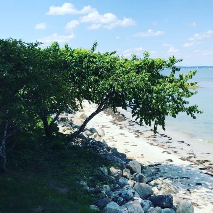 デヴォン青木のインスタグラム：「Just a few more days please #fishersisland」