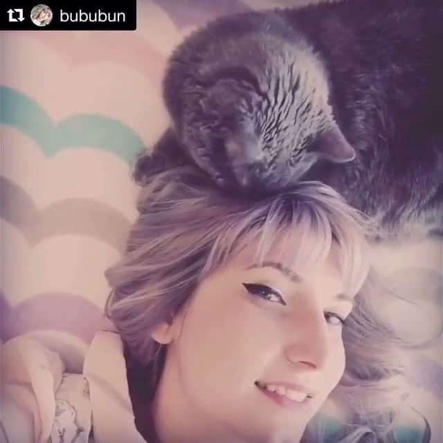 B612のインスタグラム：「B612's Pick @bububun ・・・ Happy world cat day! 😘🐱 Gigi loves snuggling in my hair and rubbing her wet nose on me 😂 She's such a cutie! #b612 #b6 #b612selfie #b612selfievideo #b612video #b612camera #b612cam #b612cameraselfie #b612셀카동영상 #셀피 #셀스타그램#selfie #selfietime #自撮り #セルフィー #селфи #мимими #happy #love #girl #cat #猫 #selfies #beautiful #cute #instadaily #instagood #lovely #loveyourself」