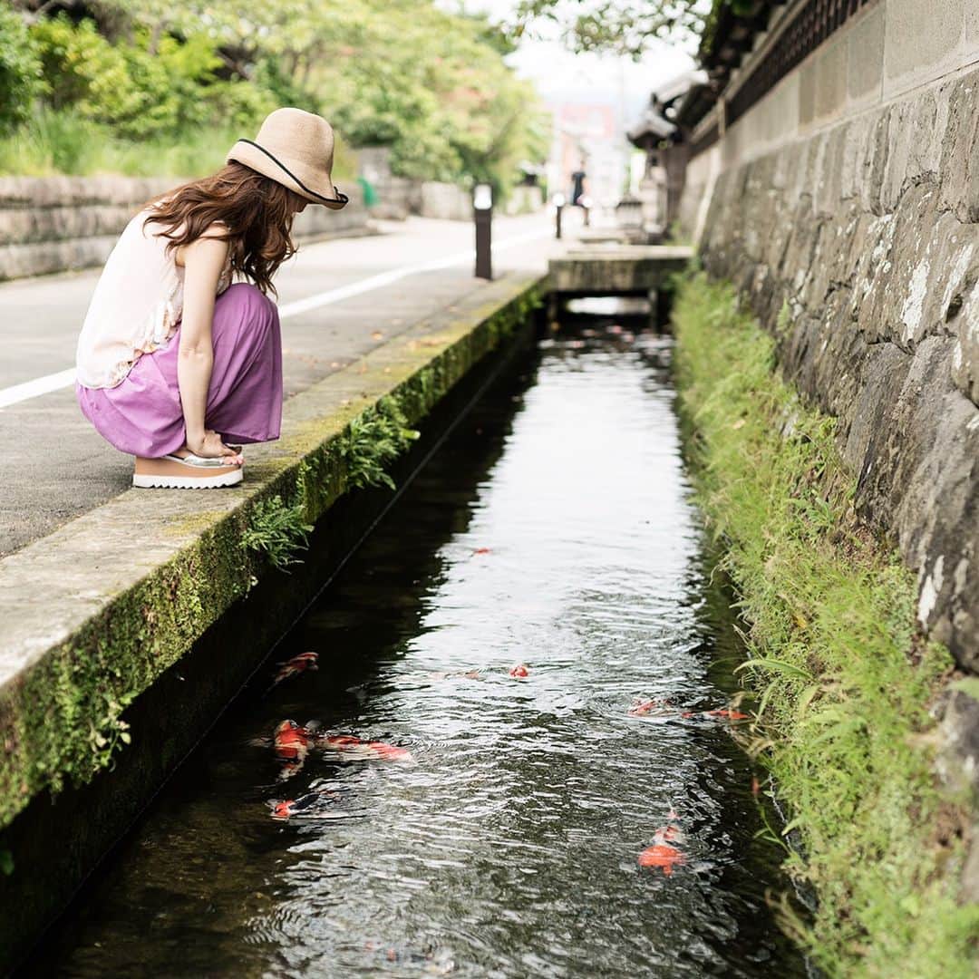 宮崎宣子さんのインスタグラム写真 - (宮崎宣子Instagram)「まさかまさかのUMKさんのインタビューを受けました。笑 日南の高校生から、日南の魅力を聞かれましたよ。笑 宮崎の皆さん見つけたら教えて下さい。笑 そして、こちらは、プロカメラマン、ワタナベさんが撮ってくれたものです📸 プロは違うーー✨見比べると差がハッキリ。笑  #飫肥 #umk #インタビュー #日南の魅力 #高校生 #プロカメラマン #カメラマンワタナベ #インスタライブ #したのに保存し忘れた #飫肥で泊まろう #寿太郎祭り準備中」8月14日 18時41分 - miyazaki_nobuko