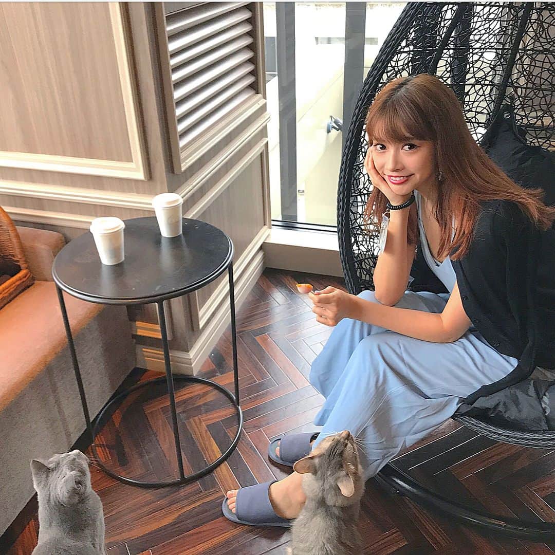 得あゆのグルメインスタ