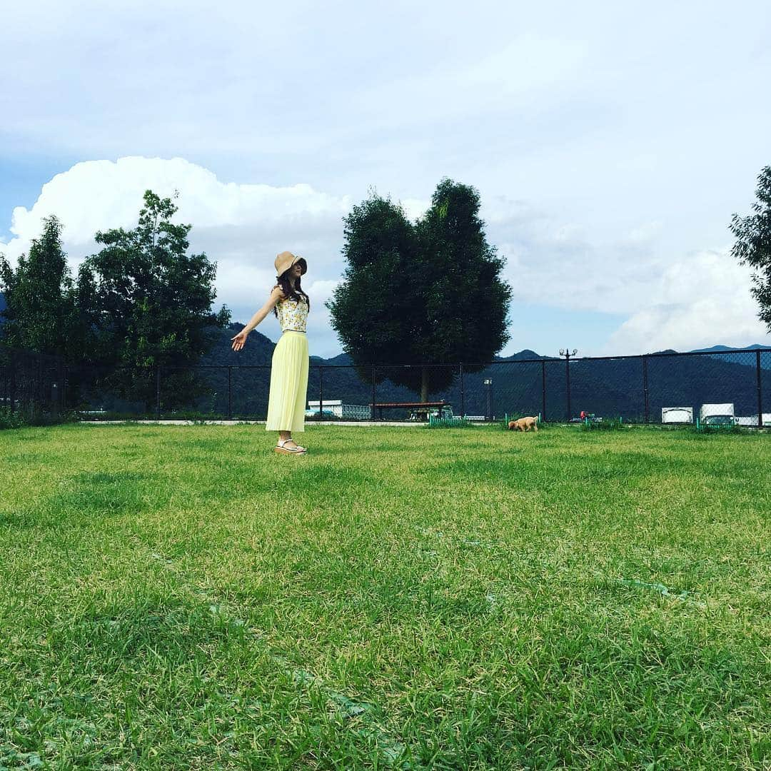 宮崎宣子さんのインスタグラム写真 - (宮崎宣子Instagram)「旅の途中  #ドッグランがあるサービスエリア #まだまだ旅の途中 #長旅 #旅好き」9月13日 15時11分 - miyazaki_nobuko