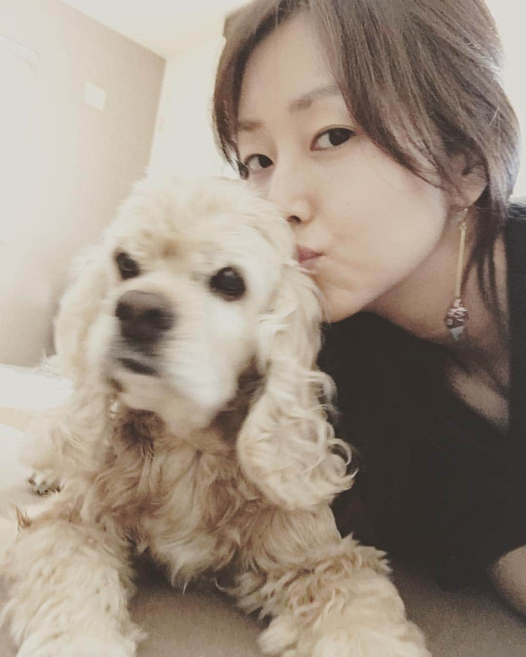 笛木優子のインスタグラム：「きんきょう🐕😊💋 #アメコ#アメリカンコッカースパニエル #犬ばか部」