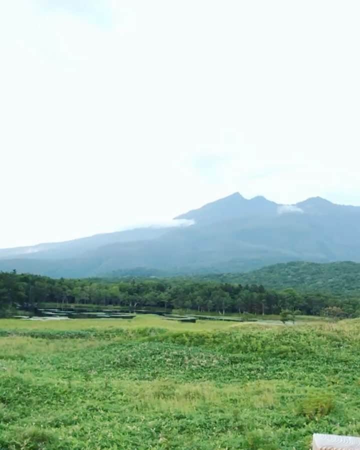 Hikaruのインスタグラム