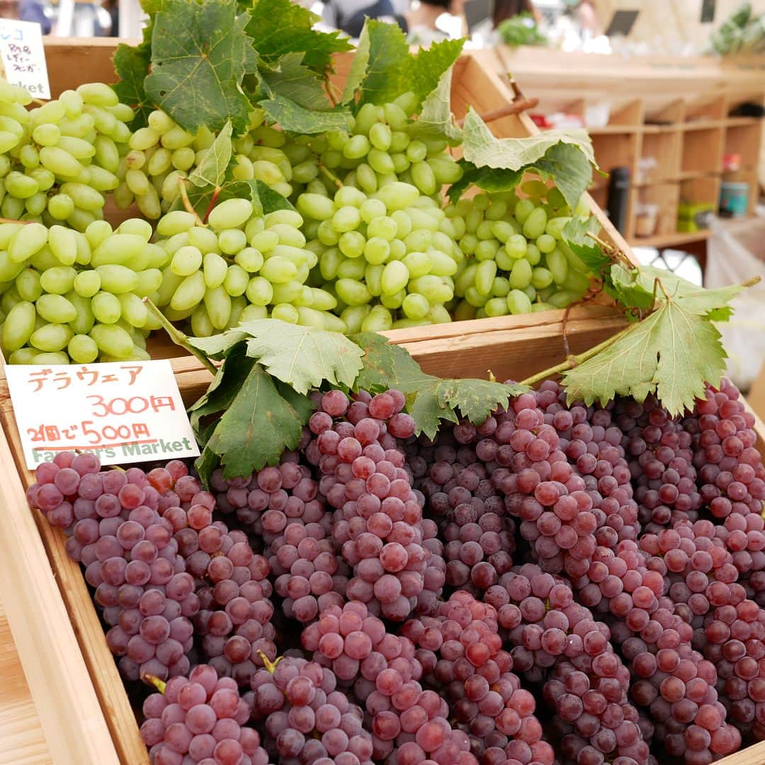 mamiのインスタグラム：「* *  おはようございます☀ ． 週末は 青山Farmer's Market に 瑞々しいフルーツと新鮮な野菜を買って来ました 。 ． ． そして1番の目的は 石川隆児 さんの器が展示販売されると知って♡ 4枚目のpicの マグカップ☕️これが1番欲しかった♡ 新色のグレーも買えて 嬉しかったです 。 ． ． ． #青山ファーマーズマーケット  #石川隆児  #旬のフルーツ  #新鮮野菜」
