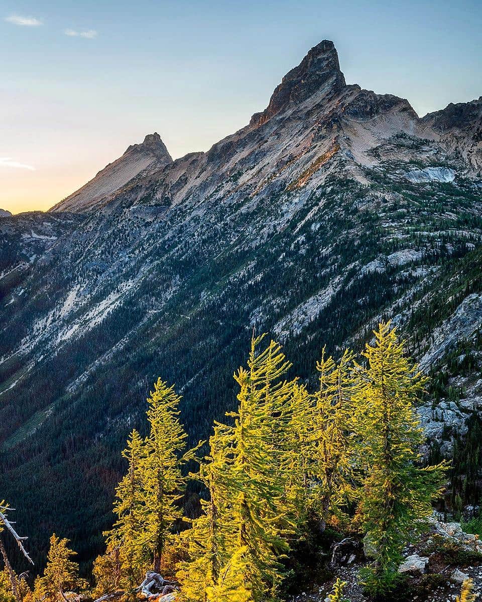 National Geographic Travelさんのインスタグラム写真 - (National Geographic TravelInstagram)「Photo @stephen_matera //Alpine Larch trees in their pre-autumn green beneath Tower Mountain, Okanagan National Forest. The Larch, sometimes called a Tamarack, is a deciduous conifer, meaning it has needles and cones, but the needles turn golden yellow in autumn and fall off for winter. I love The Larch in any color, or on Monty Python, but especially framed by sharp peaks and backlit at sunset. Follow me @stephen_matera for more images like this from Washington and around the world. #deciduousconifer #thelarch」9月11日 10時04分 - natgeotravel