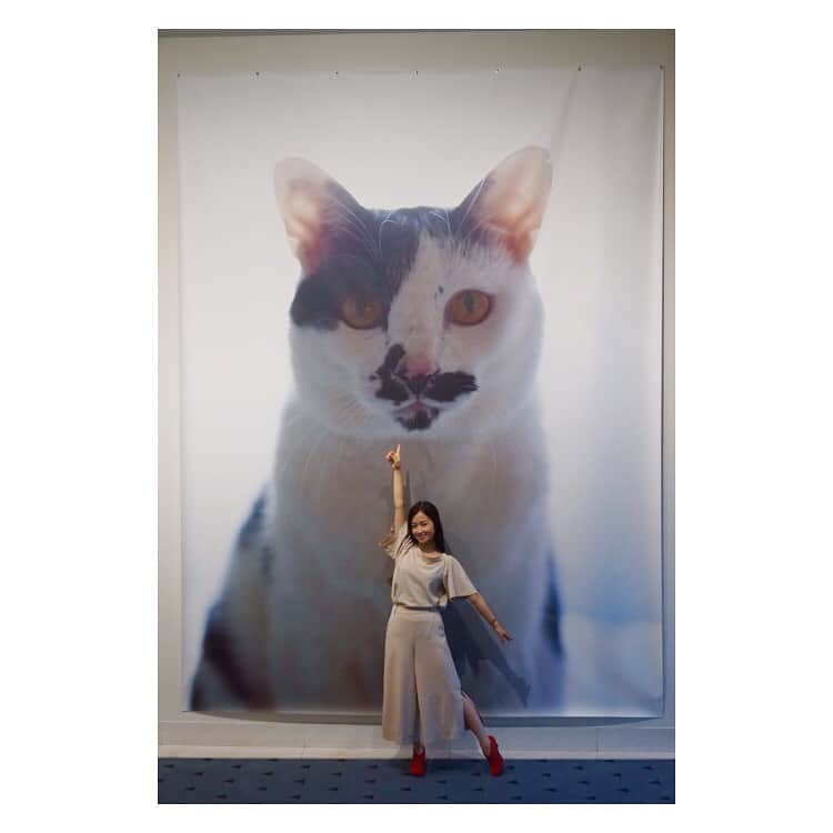 岡田ひとみ（ねんドル）のインスタグラム