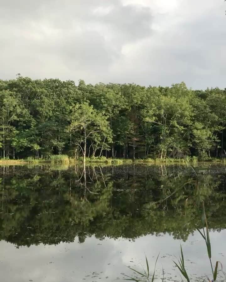 Hikaruのグルメインスタ