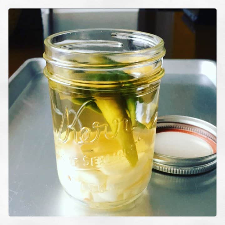 志摩有子さんのインスタグラム写真 - (志摩有子Instagram)「作ってみたチリビネガー。刻んだにんにくと青唐辛子に米酢を注いだだけ。 先日行った本とさやを真似して。何にでも合いそう。 #チリビネガー #冷蔵保存 #青唐辛子 #台所仕事」9月12日 16時57分 - ariko418