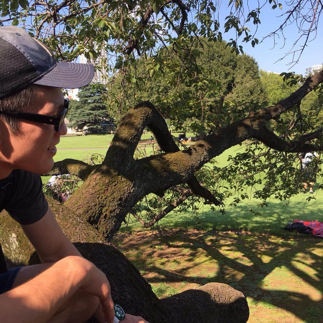 青木真也のインスタグラム：「心が洗われる。辛い時は緑に頼る。#青木真也#shinyaaoki」