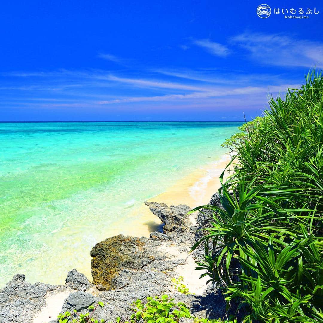 HAIMURUBUSHI はいむるぶしさんのインスタグラム写真 - (HAIMURUBUSHI はいむるぶしInstagram)「TVドラマ「瑠璃の島」の舞台になった鳩間島。鳩間ブルーと呼ばれる真っ青な海に抱かれた島は神様の宝石でできた島です。 #沖縄 #八重山諸島 #鳩間島 #ブルー #海 #リゾート #はいむるぶし #okinawa #yaeyamaislands  #seablue #coral #resorts #haimurubushi @masafumi_takezawa_okinawa」9月12日 23時48分 - haimurubushi_resorts