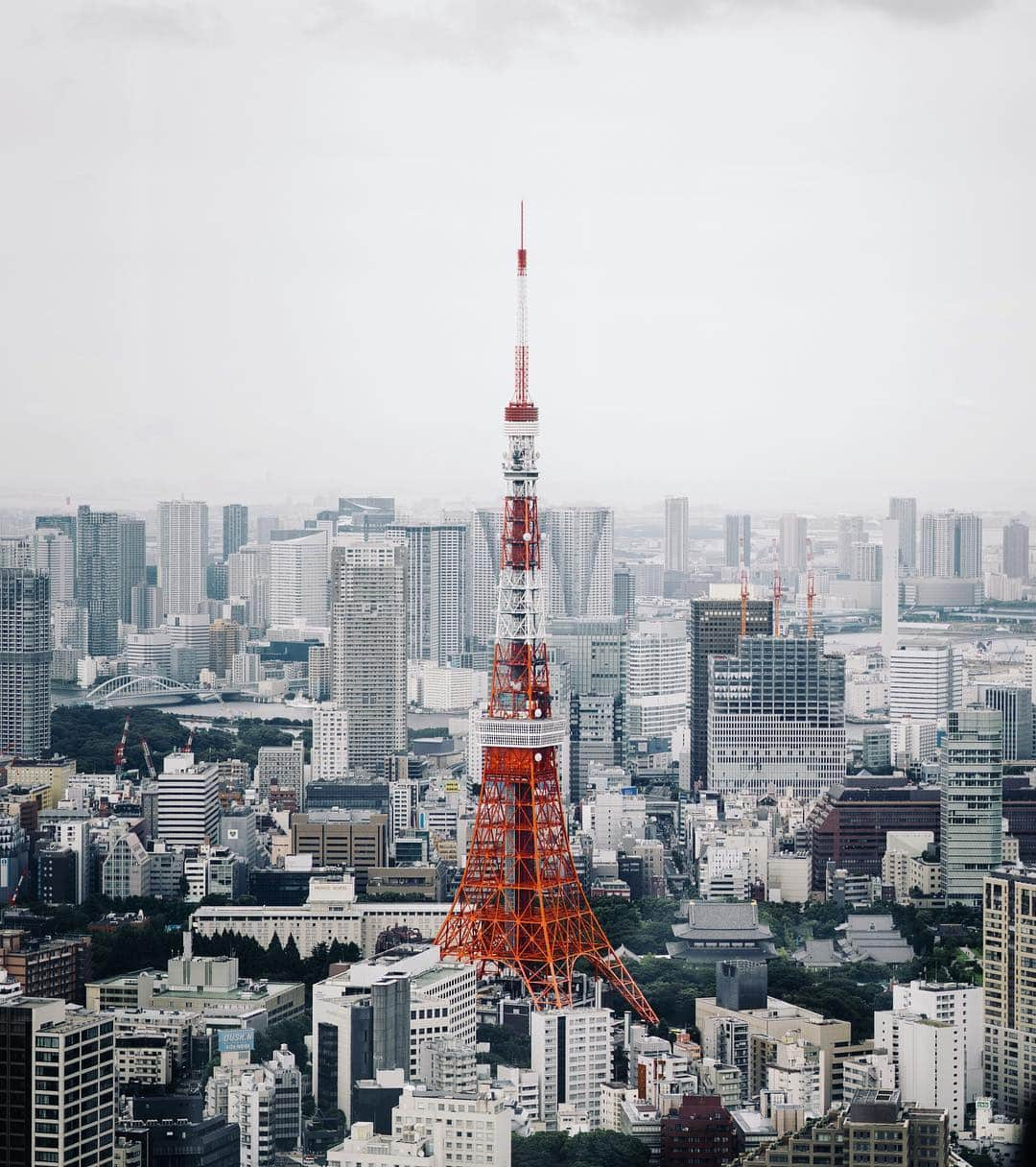 keiichiro fujitaさんのインスタグラム写真 - (keiichiro fujitaInstagram)「🗼」9月13日 0時04分 - chilo