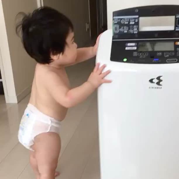 藍のインスタグラム：「トララが立った！歩いた！ わあああああああ  #1歳1ヶ月 #歩けるようになたよ」