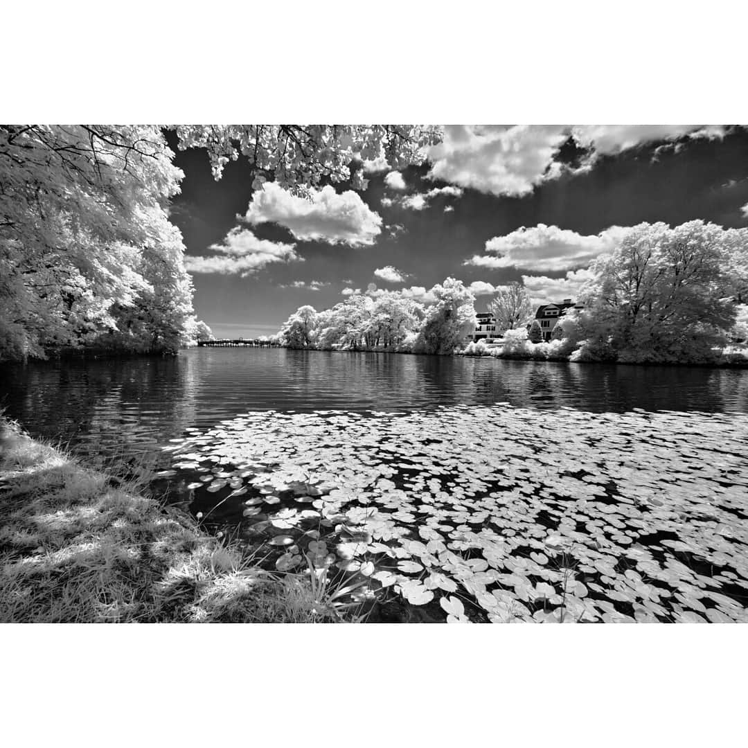 Sigma Corp Of America（シグマ）さんのインスタグラム写真 - (Sigma Corp Of America（シグマ）Instagram)「Check out some samples of infrared photography taken with the sd Quattro! The IR cut filter is easily removable on the camera! . . . #sigmaphoto #infraredphotography #infrared #sdquattro #foveon #landscapes @jackhowardphotography」9月13日 4時55分 - sigmaphoto