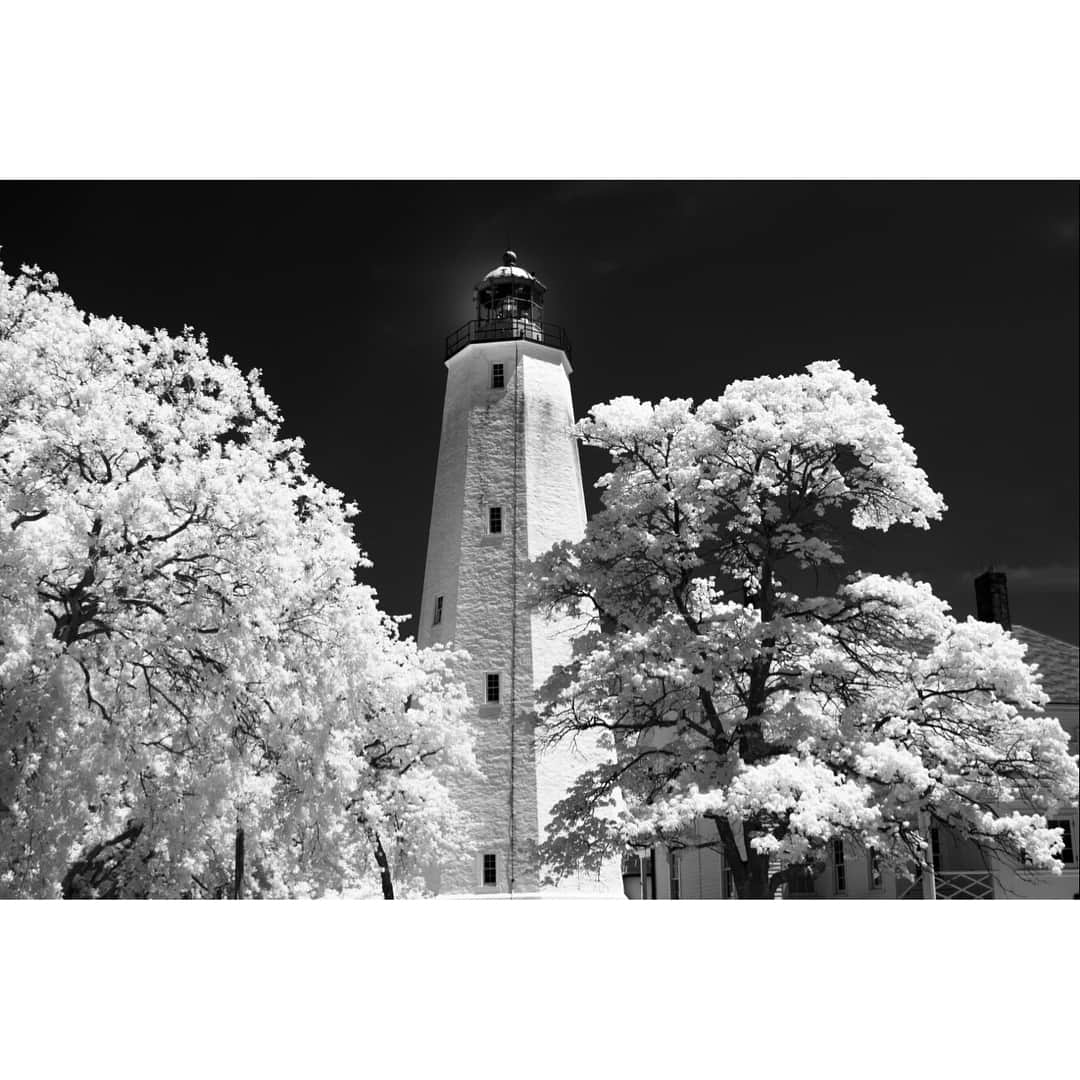 Sigma Corp Of America（シグマ）さんのインスタグラム写真 - (Sigma Corp Of America（シグマ）Instagram)「Check out some samples of infrared photography taken with the sd Quattro! The IR cut filter is easily removable on the camera! . . . #sigmaphoto #infraredphotography #infrared #sdquattro #foveon #landscapes @jackhowardphotography」9月13日 4時55分 - sigmaphoto