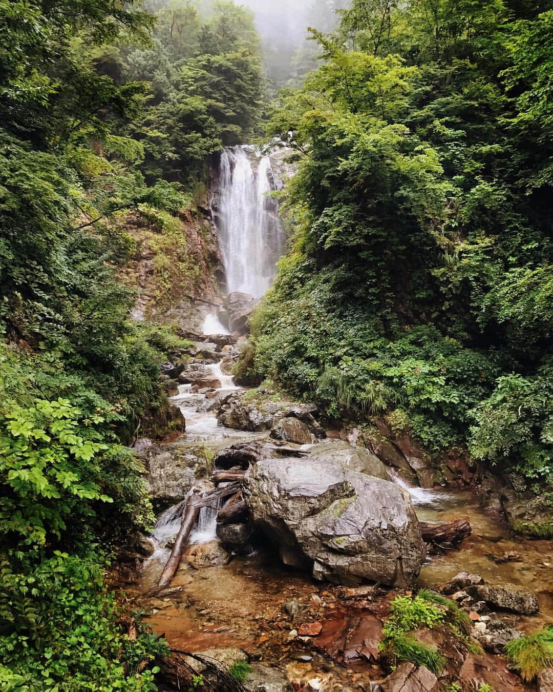 ケビン・シストロムさんのインスタグラム写真 - (ケビン・シストロムInstagram)「Last week I rode nearly 800km around Japan. I left the pristine streets of Tokyo, through the dense forests around Shirakawa Mura, to the cultural center of Kyoto. The route was demanding but the views and experiences made it worthwhile. As tired as I was at the end of each day, I stayed up sampling local food, learning more about the villages we were staying in, and connecting with other passionate cyclists. I reached out to @tokyocyclist on IG and he was nice enough to show me around! While I am happy to be back at home with @nicole and @dolly, I am grateful for the experience and friendships built along the way.」9月13日 9時27分 - kevin