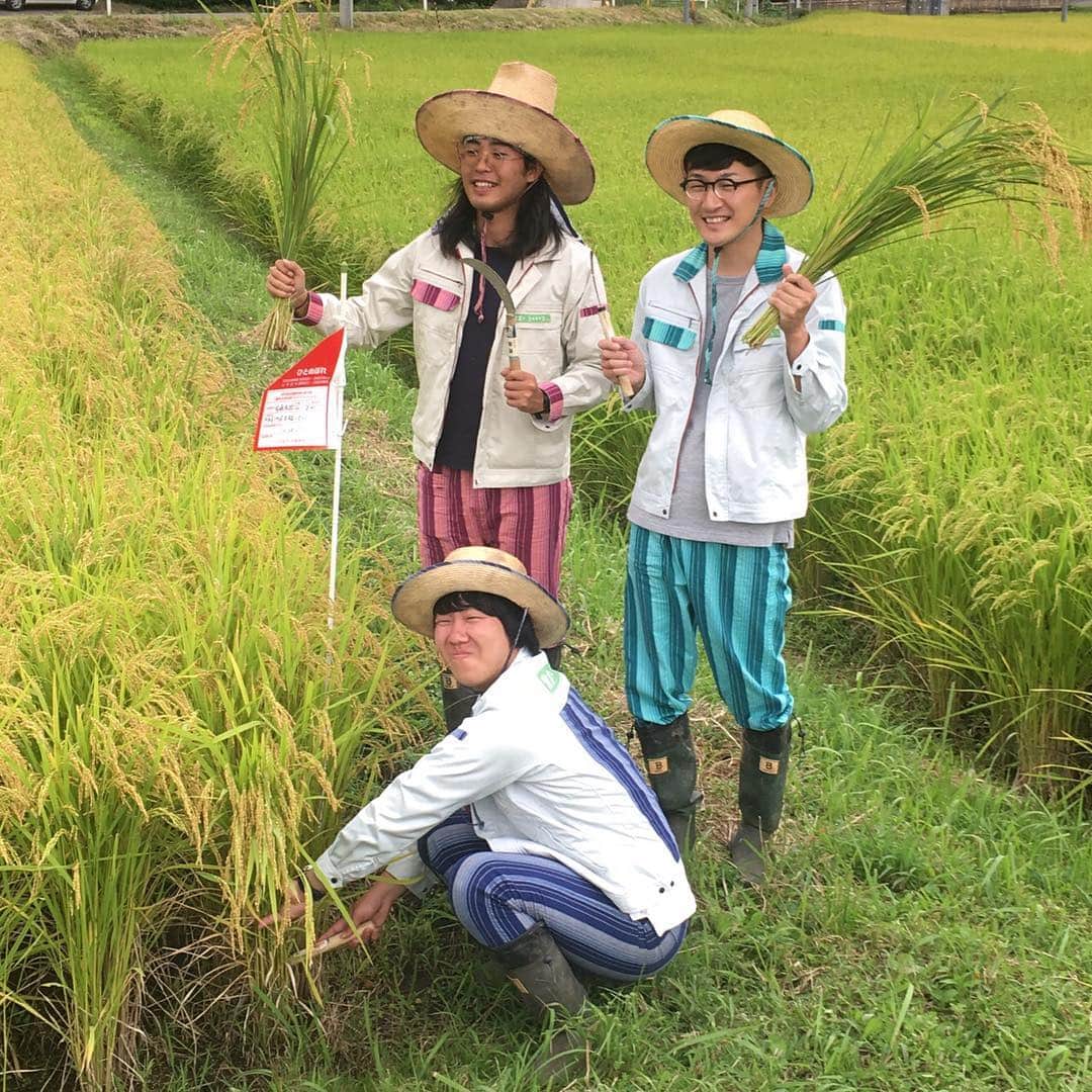 馬場裕之のインスタグラム：「「農業で住みます芸人 in 仙台」企画 ロバート馬場と稲刈り体験 ＆ 釜炊きごはんと大皿の野菜・漬物で満腹ランチ！ が９月３０日に開催します😋🎶 参加費は無料です😁 申し込みは、仙台坪沼活性化推進協議会ホームページの『お問い合わせ』より、『稲刈り体験イベント参加希望』と明記し、①参加者人数、②参加者全員の氏名、年齢および性別を記載して、お申し込み下さい🙇 https://tsubonuma.com/」