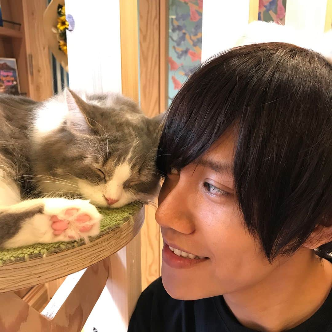 まういさんのインスタグラム写真 - (まういInstagram)「猫のいる生活取り戻したい。。もこちゃんうちこないかな〜」8月22日 10時59分 - mauie_cayton