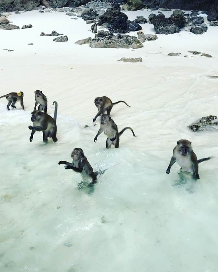 山田佳子のインスタグラム