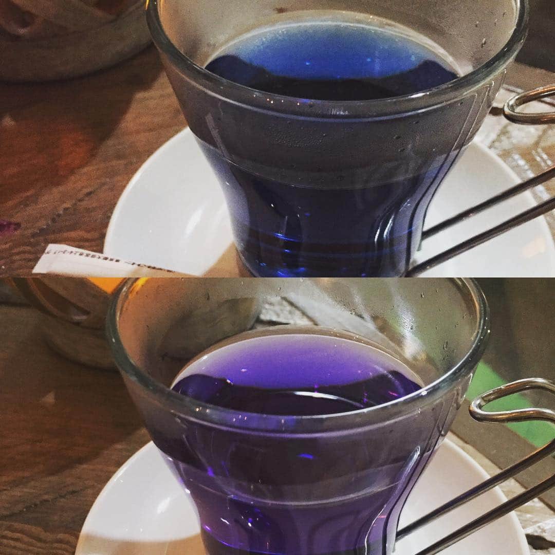 有奈めぐみさんのインスタグラム写真 - (有奈めぐみInstagram)「魔法茶✨ 台湾で人気みたい。無味無臭で、眼に良かったりアンチエイジングにいいみたい。 お好みでレモンを絞って入れると酸味は当然ながら、不思議！青から紫に色が変化したよん。 #av #女優 #風俗嬢 #39歳 #熟女 #kカップ #舌ピアス #2連 #ハーブ #ティー #魔法茶 #マジックティー #青 #レモン #紫 #変化 #眼 #アンチエイジング #台湾 #ツイッター #0507megu」8月23日 2時02分 - arina_megu
